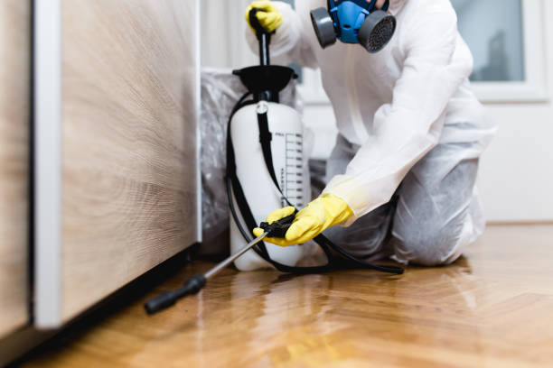 Best Mosquito Control Services  in Marrero, LA