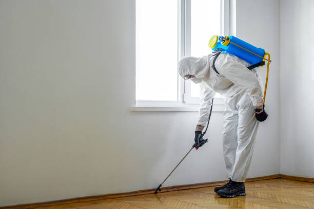 Best Flea Control Services  in Marrero, LA